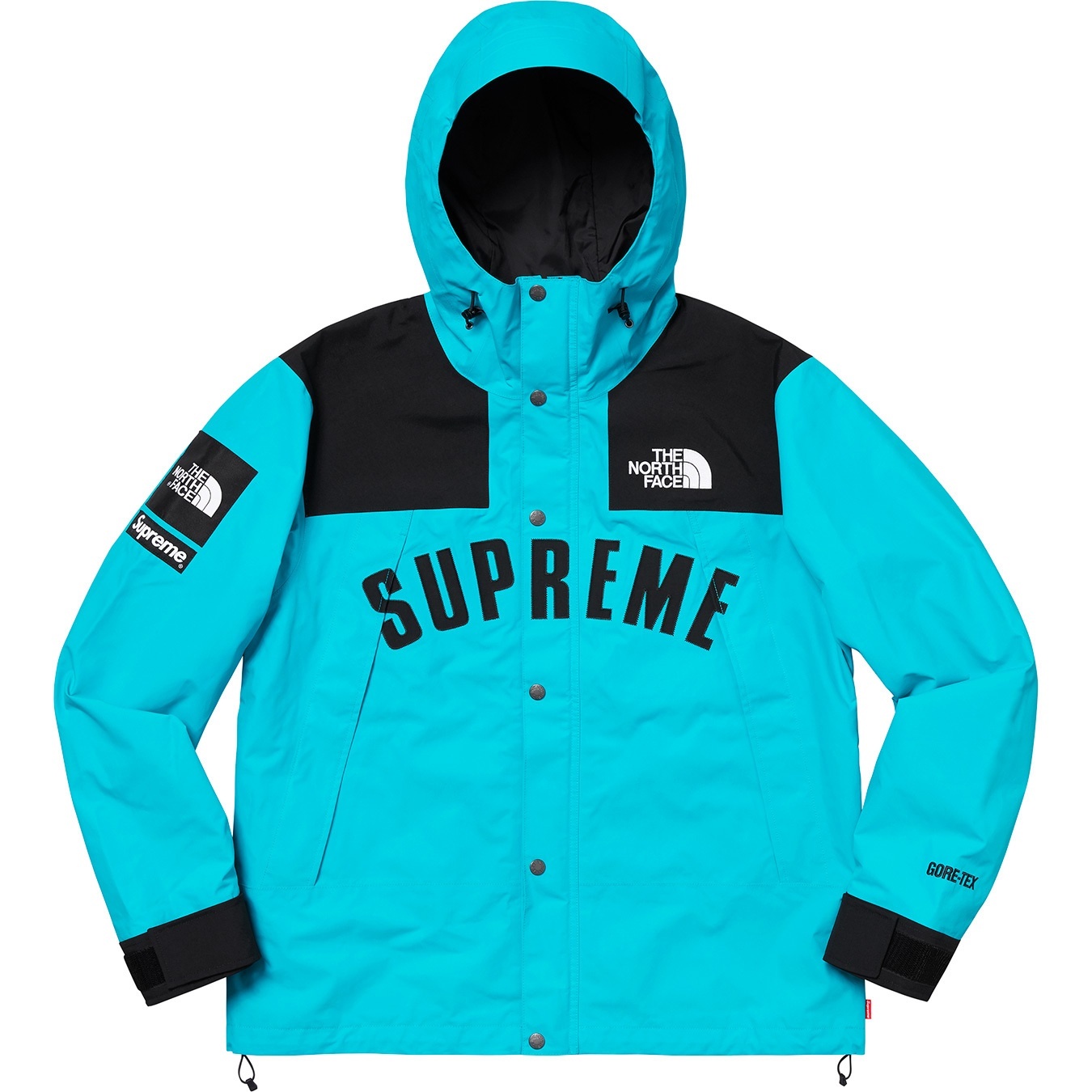 Supreme®/The North Face® Arc Logo Mountain Parka view 12
